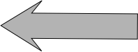 2006 - to date 